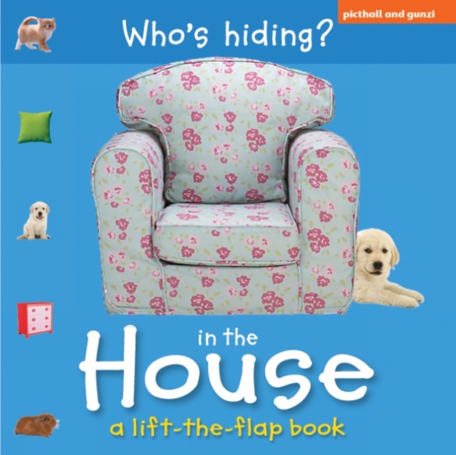 Who's Hiding?: In The House, Board book Book