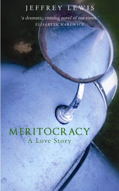 Meritocracy : a Love Story, Paperback / softback Book