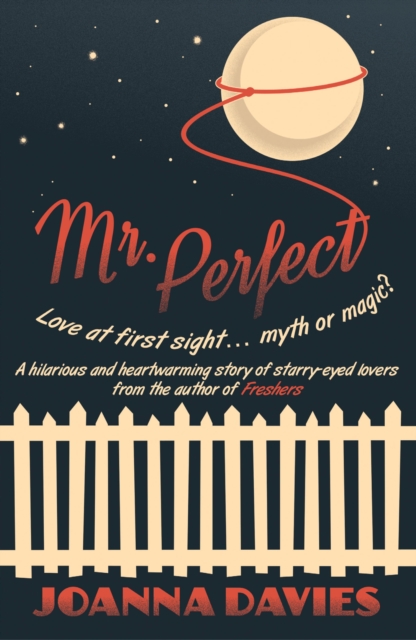 Mr Perfect, EPUB eBook