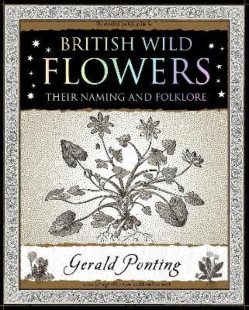 British Wild Flowers : Their Naming and Folklore, Paperback / softback Book