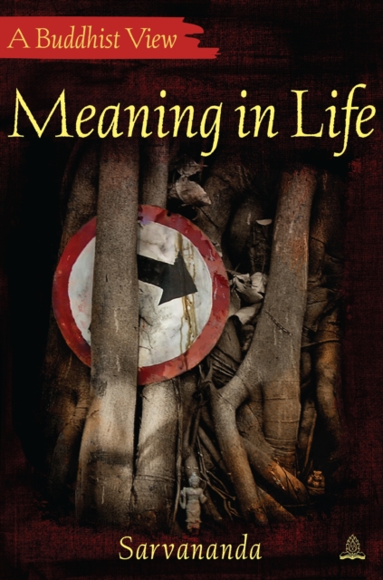 Meaning in Life, EPUB eBook