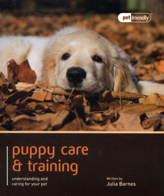 Puppy Training & Care - Pet Friendly, Paperback / softback Book