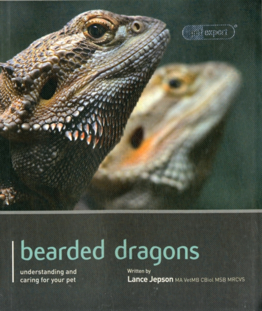 Bearded Dragon - Pet Expert, Paperback / softback Book