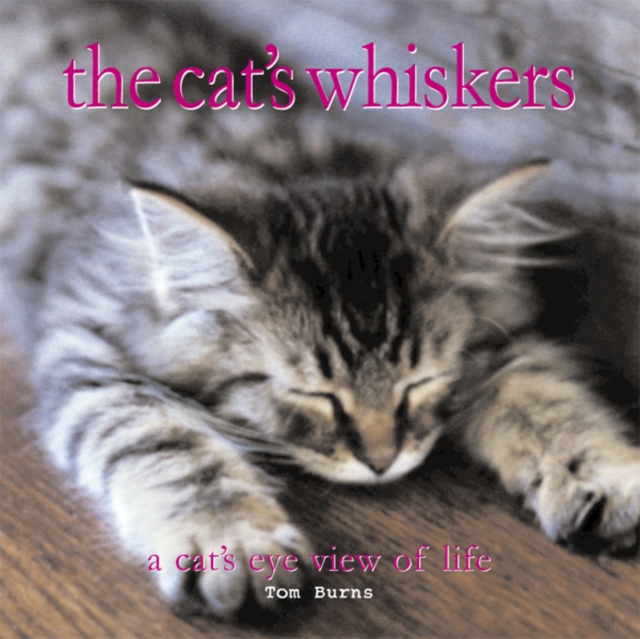 The Cats Whiskers, EPUB eBook