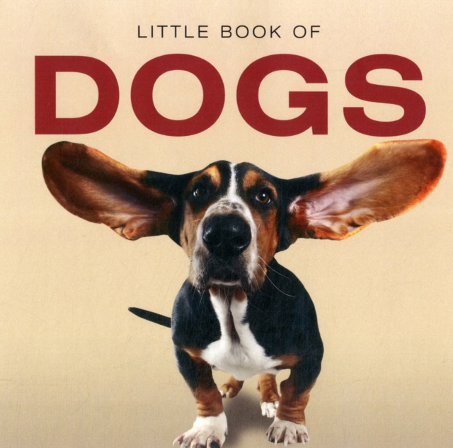 Little Book of Dogs, Hardback Book
