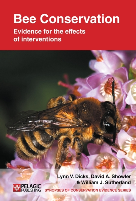 Bee Conservation : Evidence for the Effects of Interventions, Hardback Book
