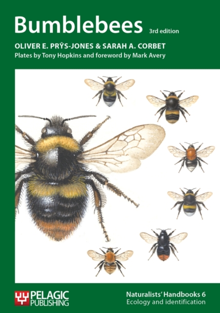 Bumblebees, Paperback / softback Book
