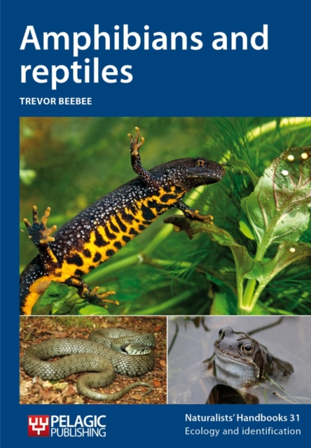 Amphibians and reptiles, Paperback / softback Book