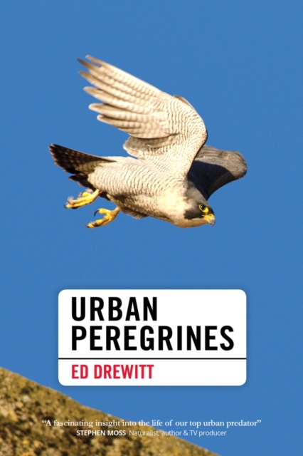 Urban Peregrines, Hardback Book