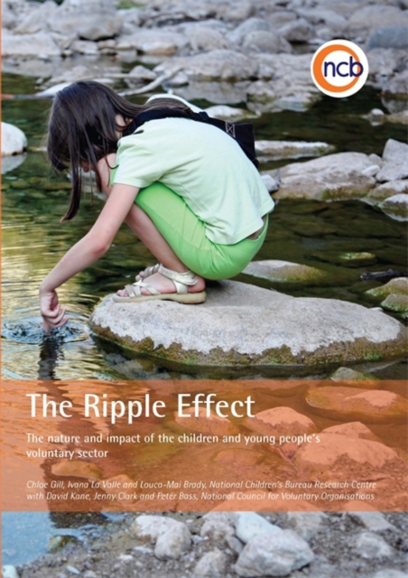 The Ripple Effect : The Nature and Impact of the Children and Young People's Voluntary Sector, Paperback / softback Book
