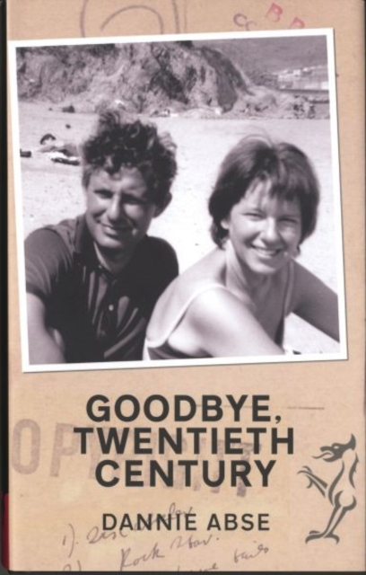 Goodbye Twentieth Century, Hardback Book