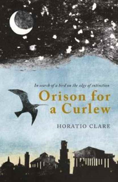 Orison for a Curlew : In Search of a Bird on the Edge of Extinction, Paperback / softback Book