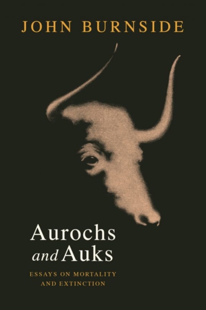 Aurochs and Auks : Essays on mortality and extinction, Hardback Book