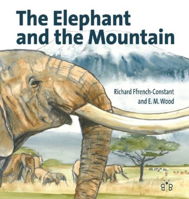 The Elephant and the Mountain, Hardback Book