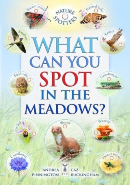 What Can You Spot in the Meadows?, Paperback / softback Book