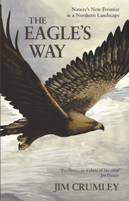 The Eagle's Way : Nature's New Frontier in a Northern Landscape, Paperback / softback Book