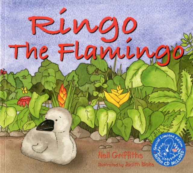 Ringo the Flamingo, Multiple-component retail product Book