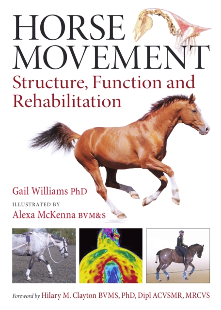 Horse Movement : Structure, Function and Rehabilitation, Hardback Book