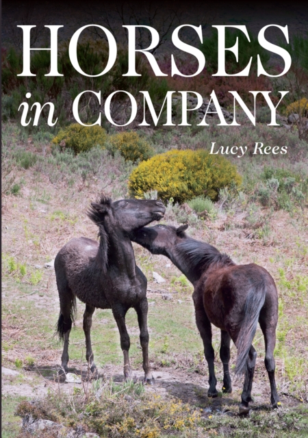 Horses in Company, Paperback / softback Book