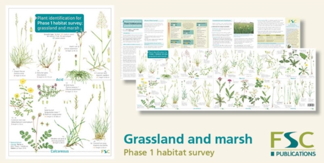 Plant Identification for Phase 1 Habitat Survey: Grassland and Marsh, Paperback / softback Book