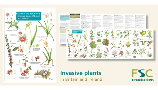Guide to the non-native invasive plants of Britain and Ireland, Paperback / softback Book