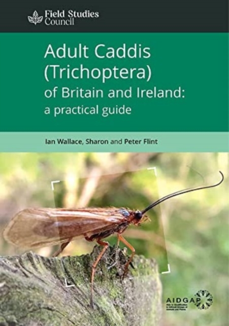 Adult Caddis (Trichoptera) of Britain and Ireland: a practical guide, Paperback / softback Book