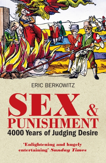 Sex and Punishment : Four Thousand Years of Judging Desire, Paperback / softback Book