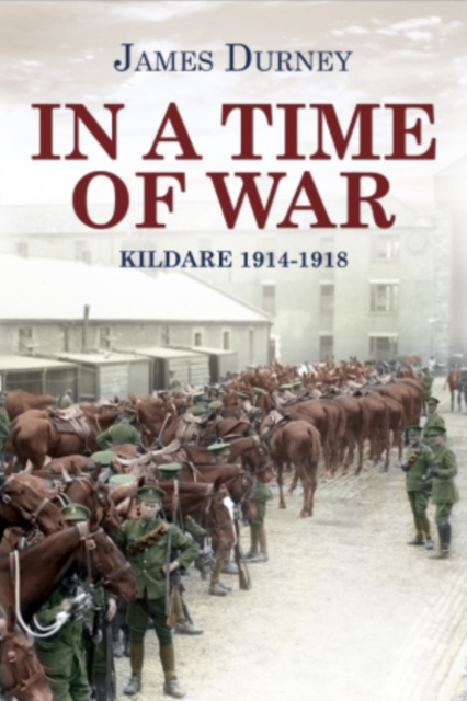 In a Time of War Kildare : 1914-1918, PDF eBook