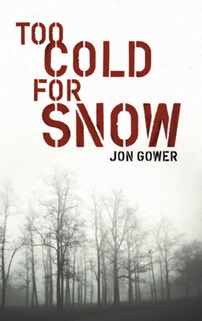Too Cold For Snow, EPUB eBook