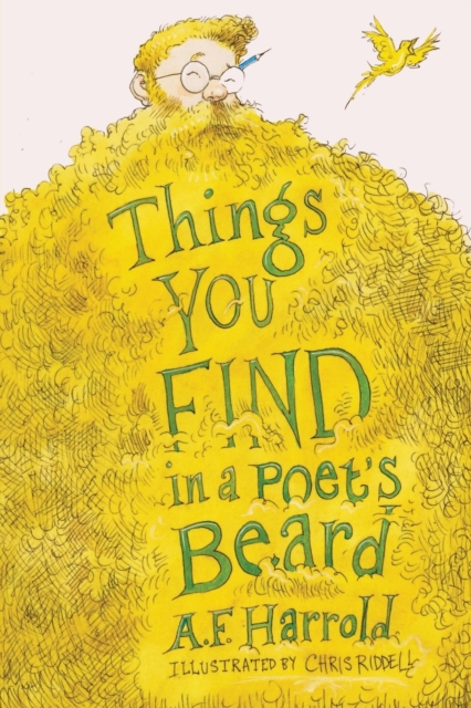 Things You Find in a Poet's Beard, Paperback / softback Book