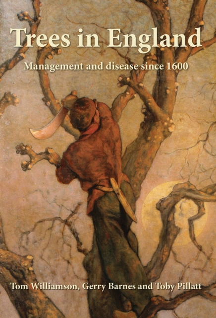 Trees in England : Management and disease since 1600, Paperback / softback Book