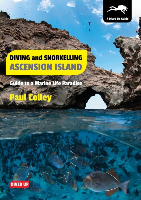 Diving and Snorkelling Ascension Island : Guide to a Marine Life Paradise, Paperback / softback Book