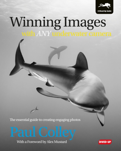 Winning Images with Any Underwater Camera, PDF eBook