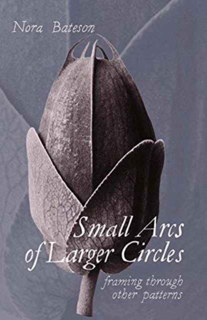 Small Arcs of Larger Circles : Framing Through Other Patterns, Paperback / softback Book