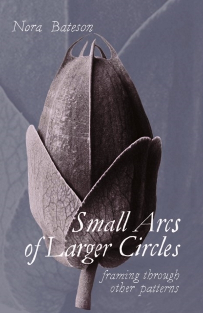 Small Arcs of Larger Circles : Framing Through Other Patterns, EPUB eBook