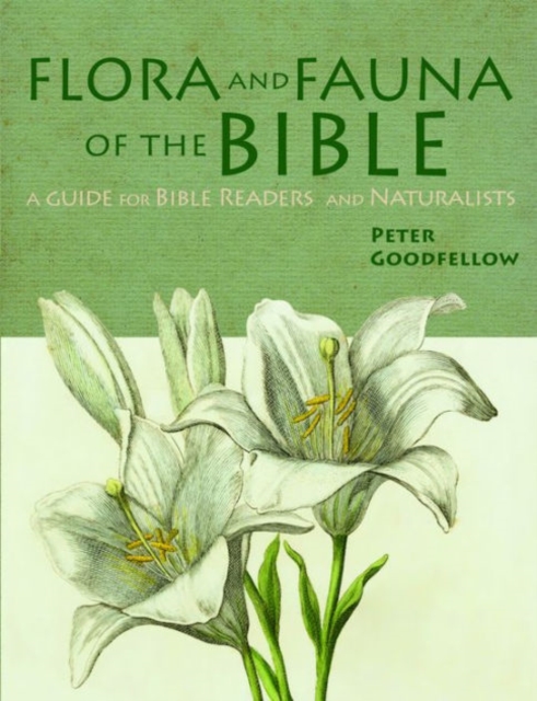 Flora & Fauna of the Bible, Paperback / softback Book