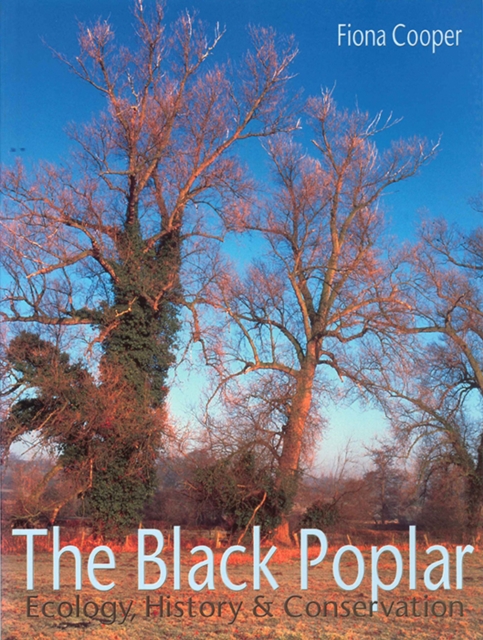 The Black Poplar, EPUB eBook