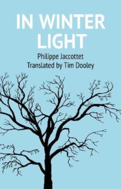 In Winter Light, Paperback / softback Book