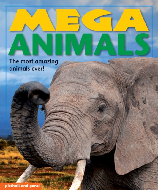 Mega Animals, Paperback / softback Book