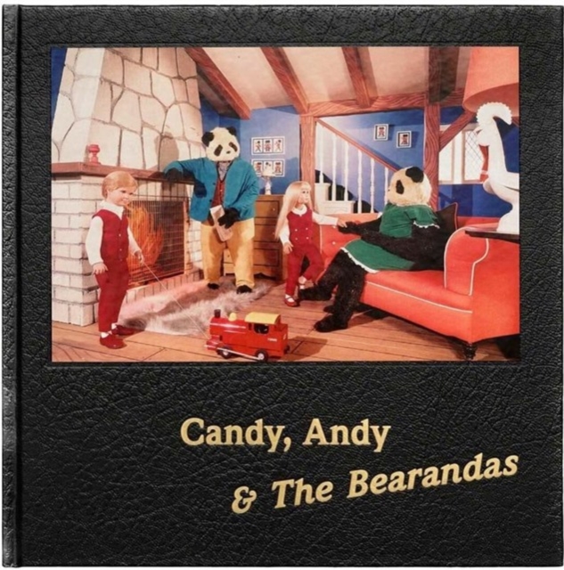Candy, Andy & The Bearandas, Hardback Book