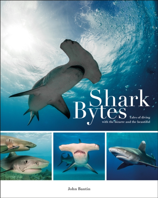 Shark Bytes : Tales of Diving with the Bizarre and the Beautiful, Paperback / softback Book