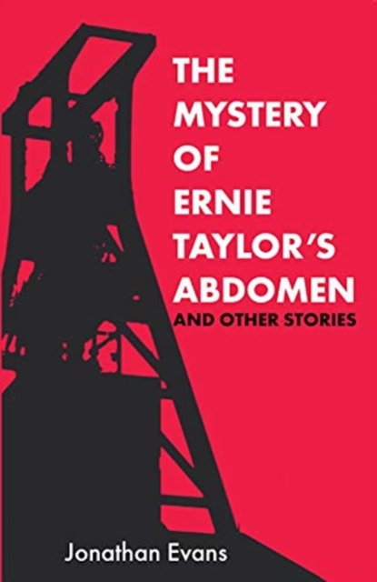 The Mystery Of Ernie Taylor's Abdomen And Other Stories, Paperback / softback Book