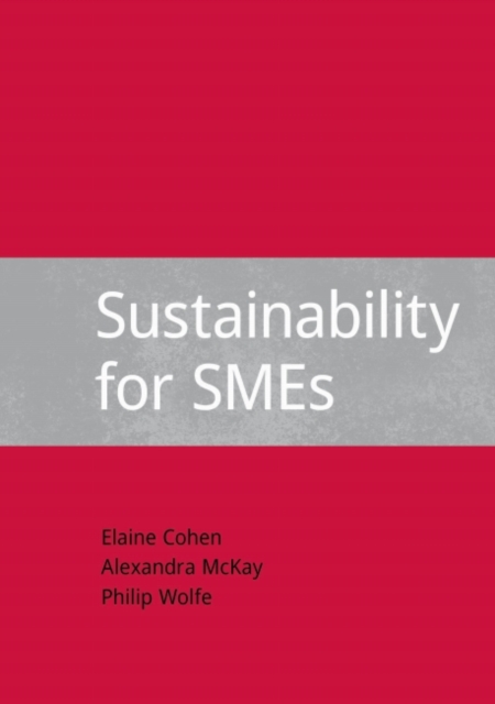 Sustainability for SMEs, Hardback Book
