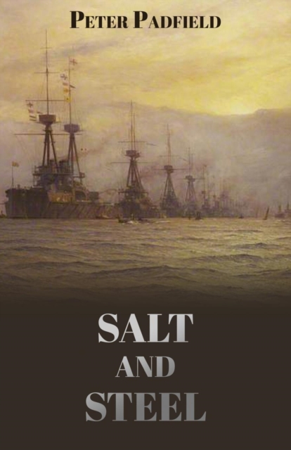Salt and Steel, Paperback / softback Book