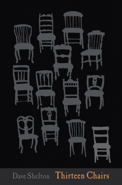 Thirteen Chairs, Hardback Book