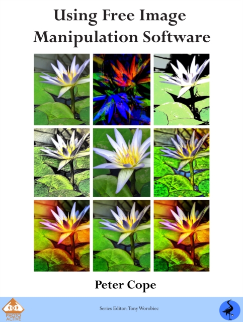 PhotoActive : Using Free Image Manipulation Software, EPUB eBook