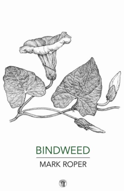 Bindweed, Paperback / softback Book