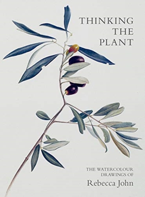Thinking the Plant : The Watercolour Drawings of Rebecca John, Paperback / softback Book