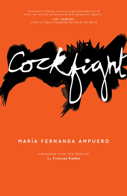 Cockfight, Paperback / softback Book