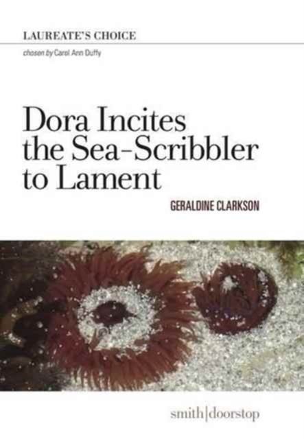 Dora Incites Sea-Scribbler Lament, Paperback / softback Book
